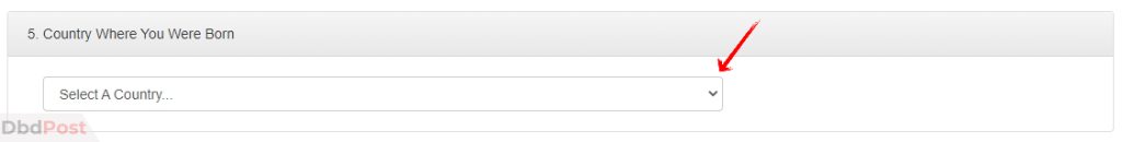 Step 8-how to fill dv lottery application form