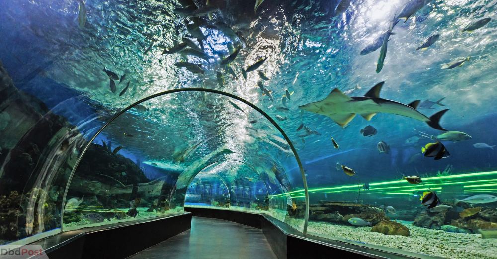 best places to visit in Malaysia-Aquaria KLCC