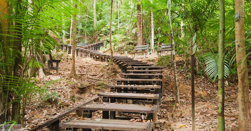 best places to visit in Malaysia-Taman Negara National Park