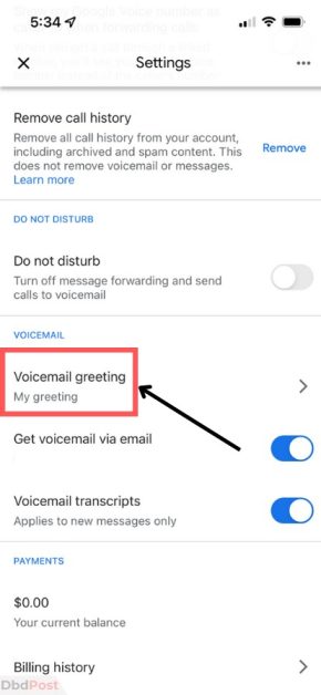 greetings google voice