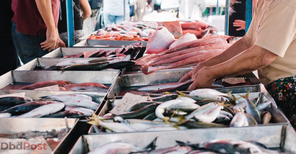 inarticle image-ajman fish market-fish market image-fish market image