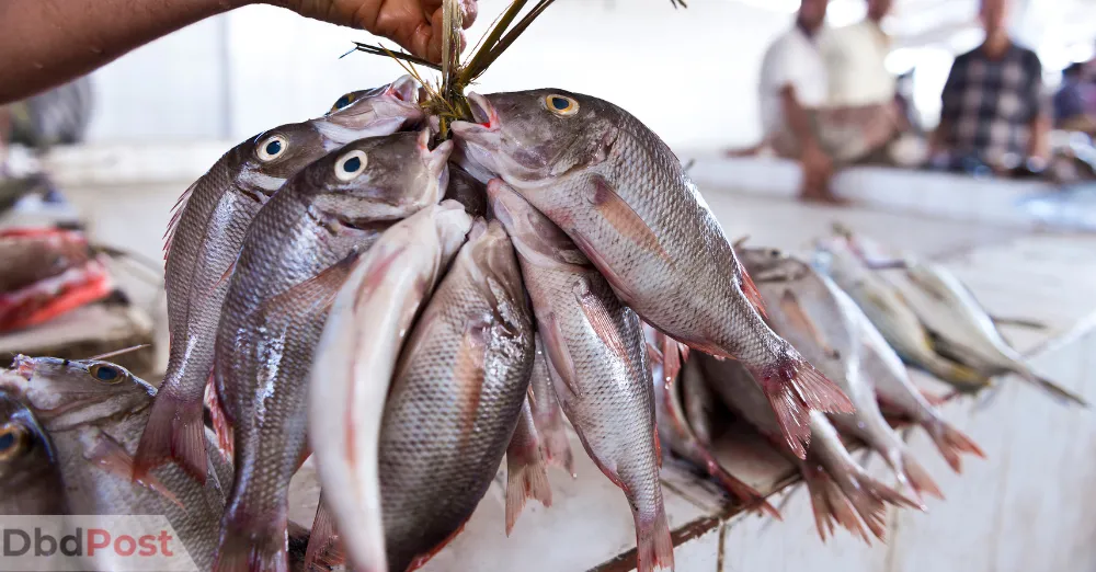 inarticle image-mina fish market-fish market