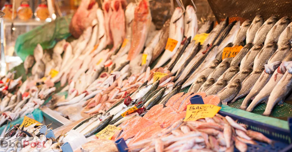 inarticle image-sharjah fish market-fish market