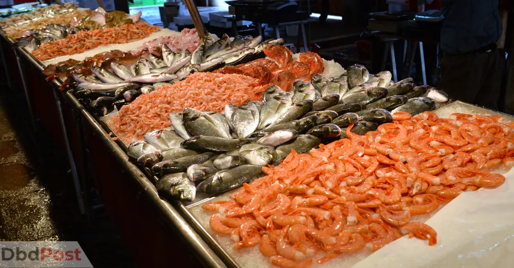 showing fish from Dubai fish market