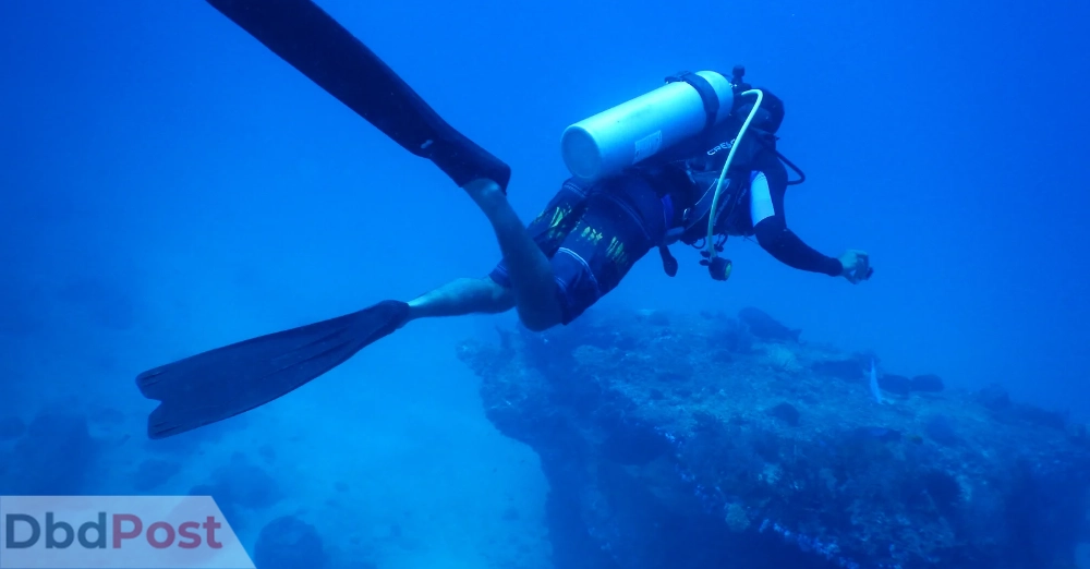 inartilce image-jumeirah beach-scuba diving