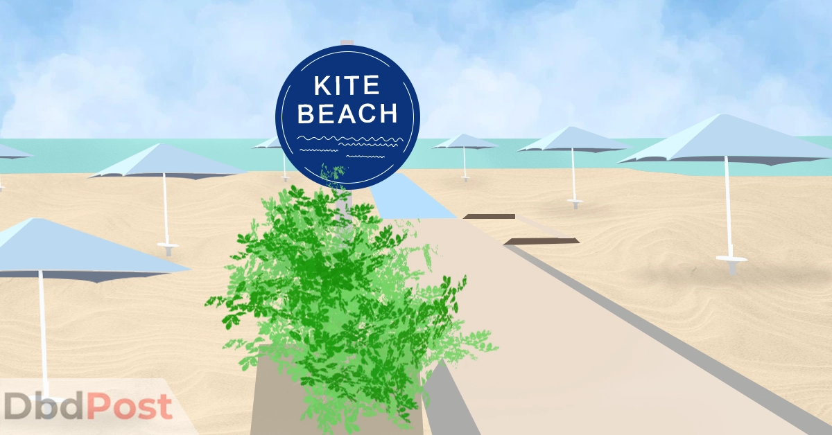 feature image-kite beach-kite beach illustration