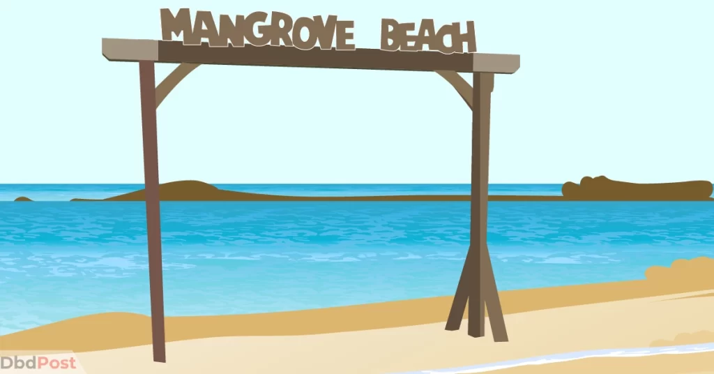 feature image-mangrove beach-beach illustration-01