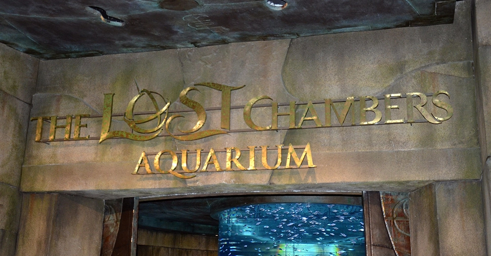 inarticle image-black palace beach-Lost Chambers Aquarium