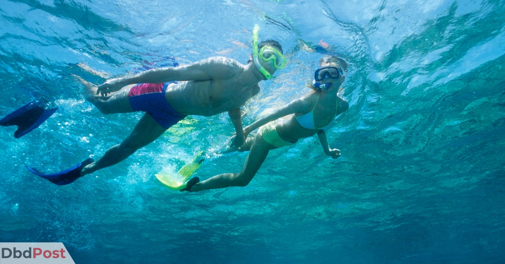 inarticle image-fujairah beach-Snorkeling