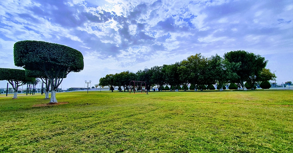 inarticle image-mirfa beach-al marfa national park