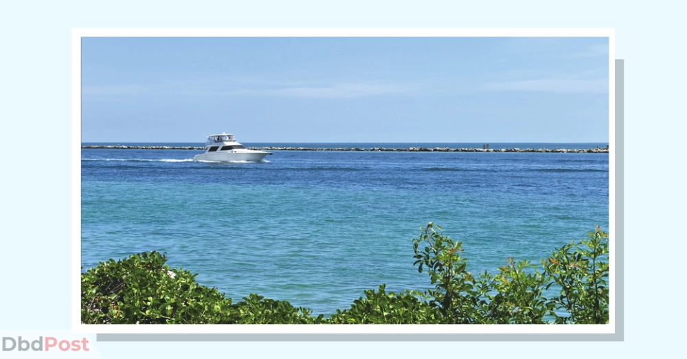 inarticle image-al bateen beach-Self-drive speedboat tour in the mangroves