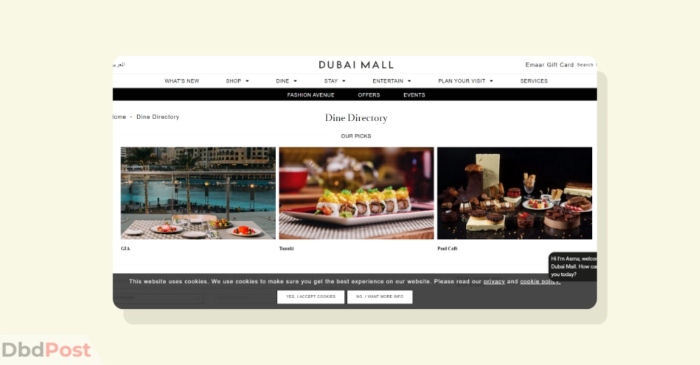 inarticle image-best places for lunch in dubai-Dubai Mall Food Court_ Affordable lunch restaurants