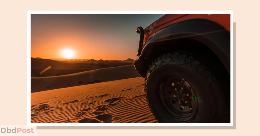inarticle image-desert safari abu dhabi-Morning desert safari with camel ride