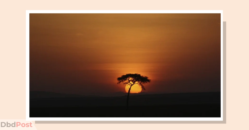 inarticle image-desert safari abu dhabi-Sunrise desert safari