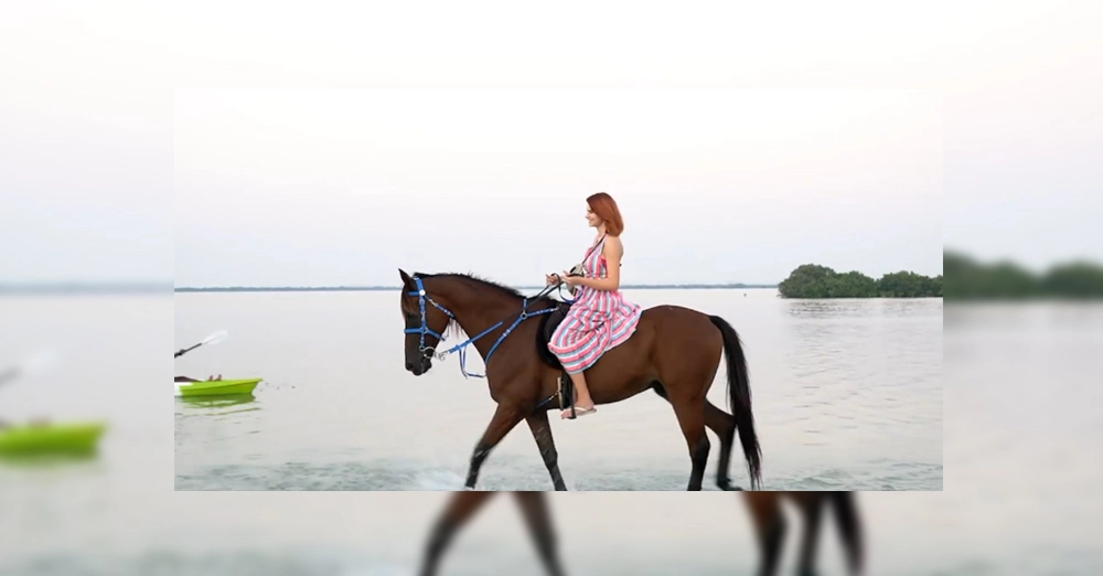 inarticle image-mangrove beach-Horse riding