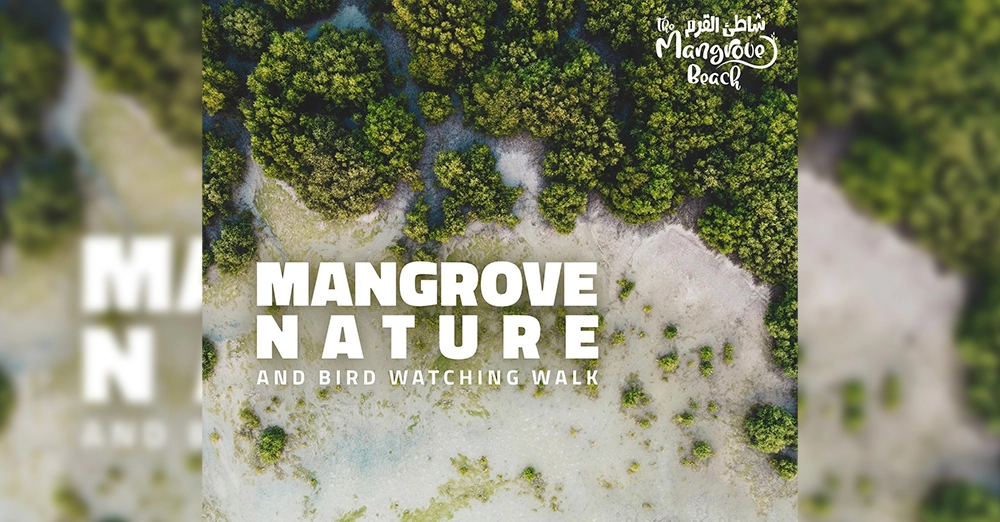 inarticle image-mangrove beach-Nature safari