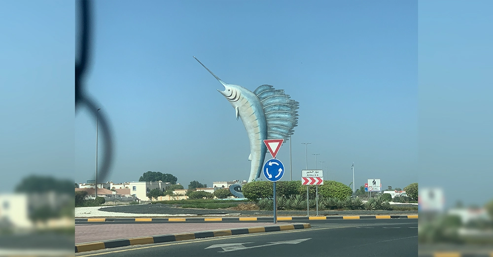 inarticle image-mangrove beach-fish roundabout