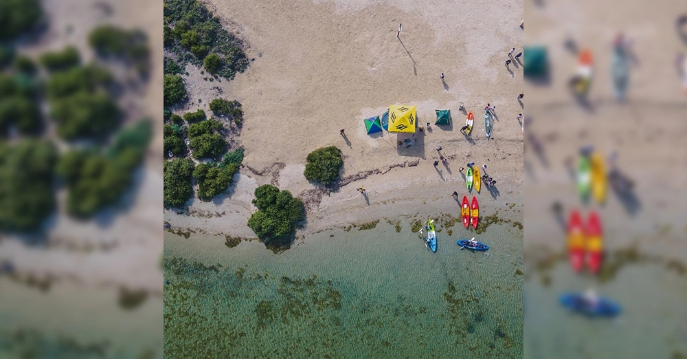 inarticle image-mangrove beach-kayaking