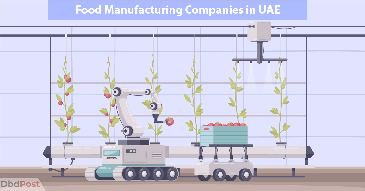 feature image-food manufacturing companies in uae-robot picking food illustration-02