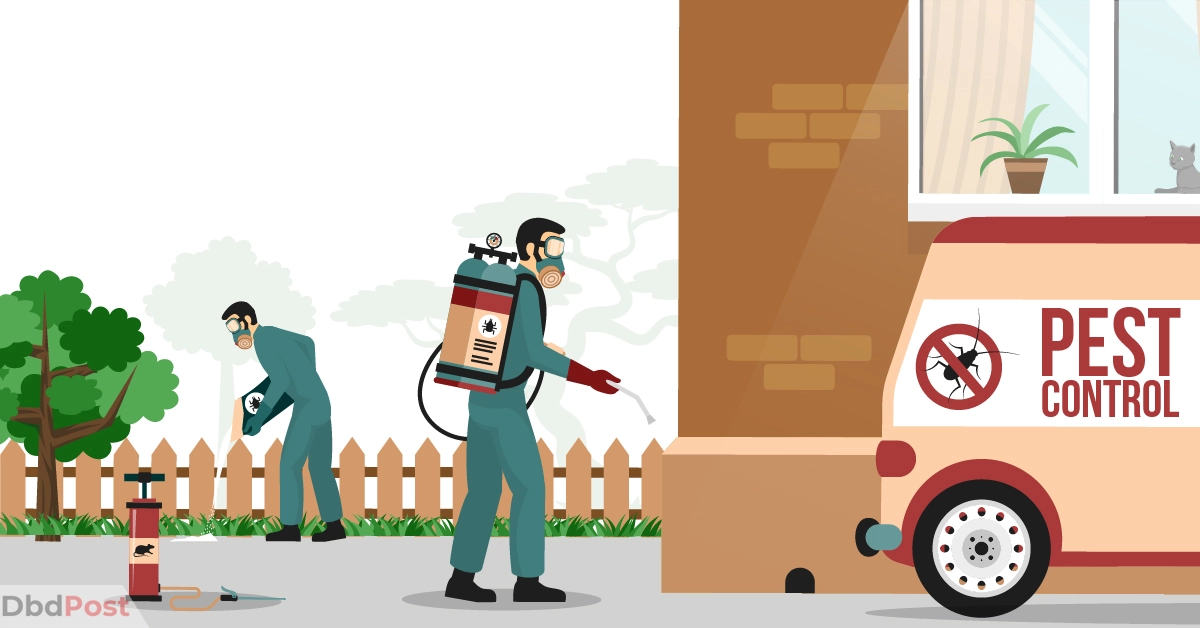 feature image-pest control services in abu dhabi-pest control illustration-01