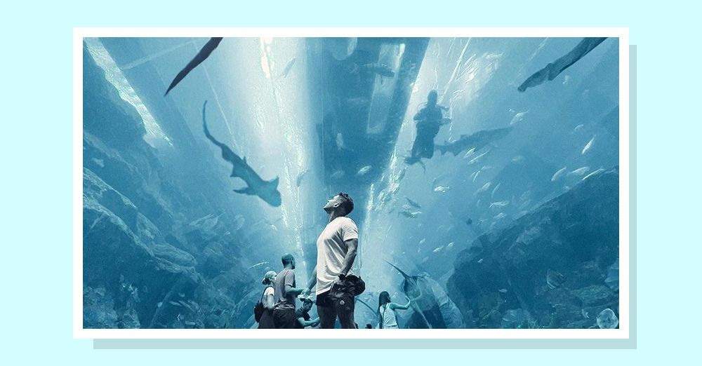 inarticle image-burj khalifa tickets-Burj Khalifa aquarium tickets