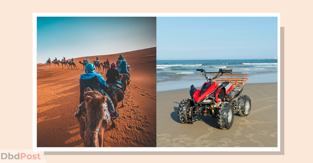 inarticle image-desert safari dubai- Half day safari_ Camel ride & quad bike 