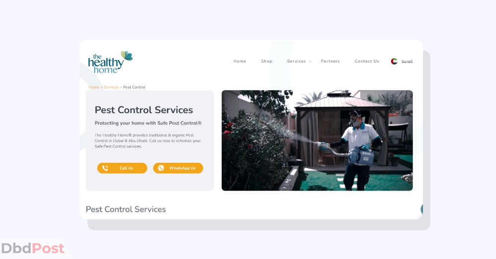 inarticle image-pest control services in dubai- The Healthy Home UAE