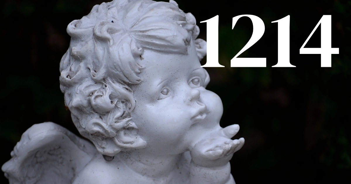 feature image-1214 angel number-1214 angel number illustration