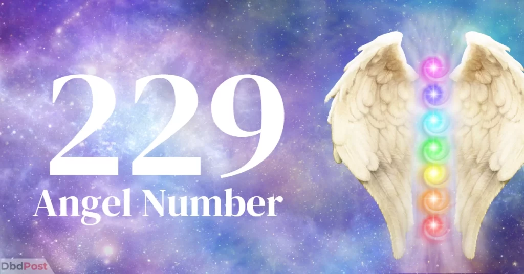 feature image-229 angel number-229 angel number illustration