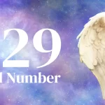 feature image-229 angel number-229 angel number illustration