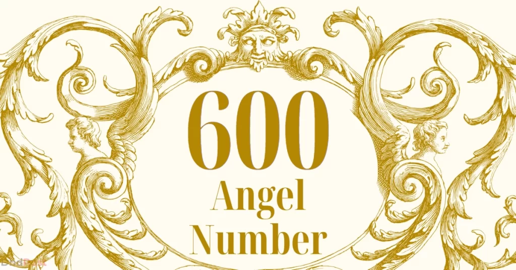 feature image-600 angel number-600 angel number illustration