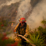 Rolling Into Action: Ford's Bold Moves in Los Angeles Wildfire Relief Ford wildfire relief efforts