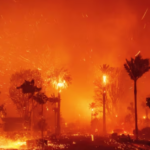 PayPal wildfire relief Los Angeles