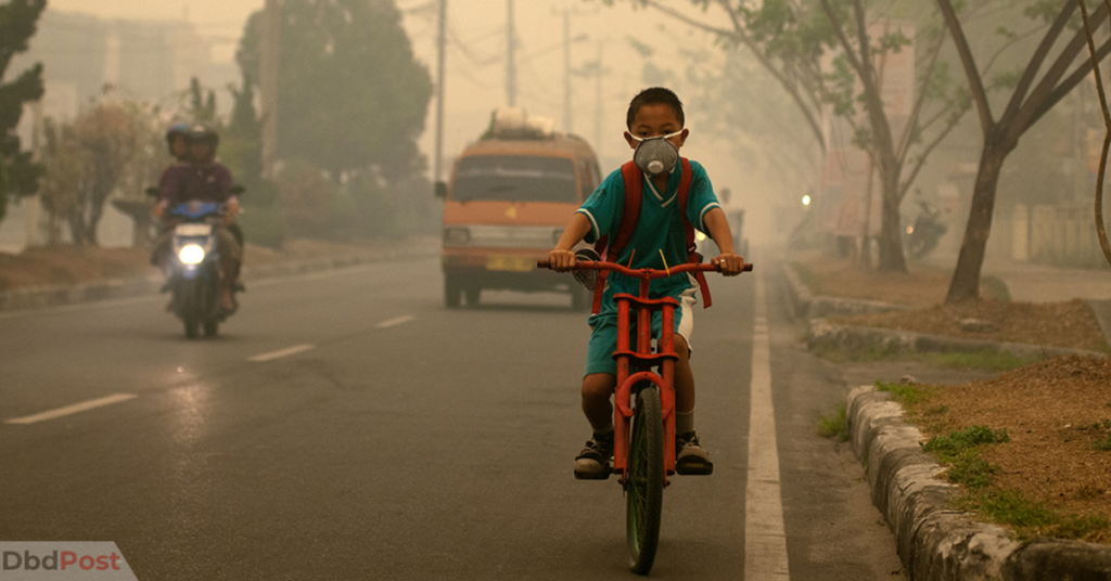 Air Pollution Effects on Children