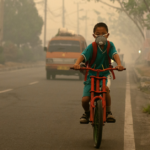 Air Pollution Effects on Children