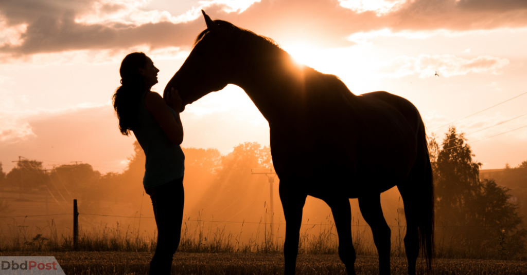 SAFE Act to End Horse Slaughter