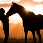 SAFE Act to End Horse Slaughter